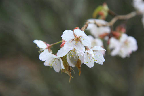 20120422_5.jpg