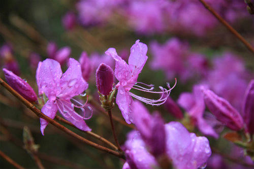 20120422_2.jpg