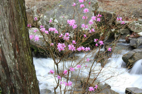 20120422_1.jpg