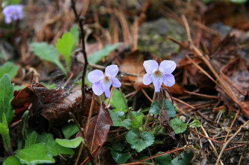 20120422_4.jpg