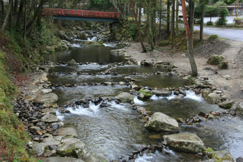 20120423.jpg