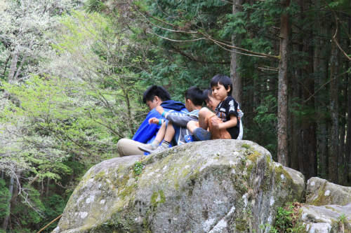 20120430_7.jpg