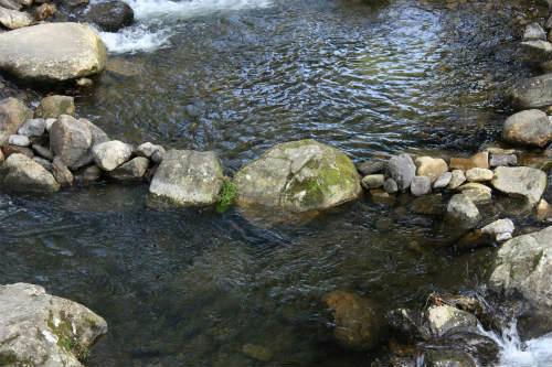 20120501_1.jpg