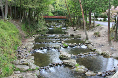 20120502.jpg