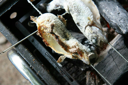 20110709_3.jpg