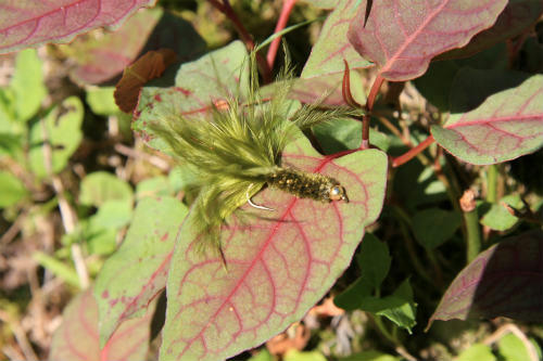 20110717_3.jpg