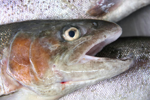 20110827_2.jpg
