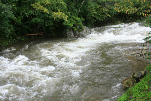 20110903.jpg