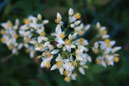 20110912_1.jpg