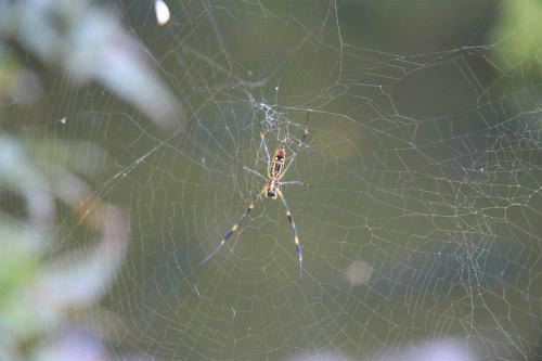 20110912_2.jpg