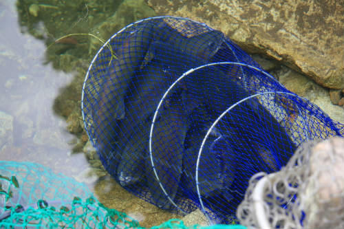 20111009_3.jpg