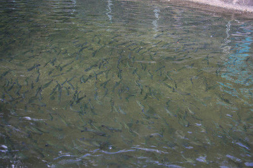 20111012.jpg