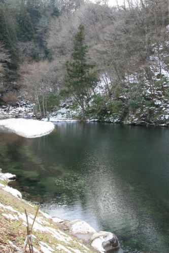 20120106_4.jpg