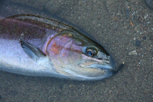 20120102_1.jpg