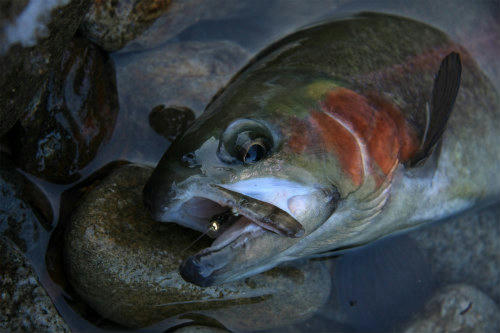 20120102_3.jpg