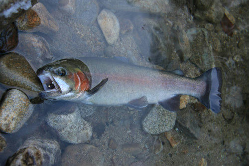 20120102_4.jpg