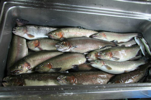 20120506.jpg