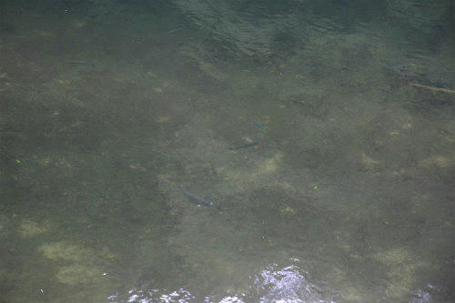 20120511_2.jpg