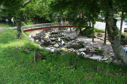 20120523_3.jpg