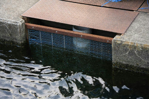 20120601_2.jpg