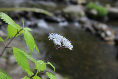20120612.jpg