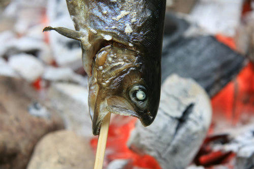 20120614_2.jpg