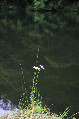 20120615.jpg