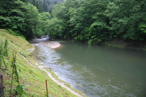 20120620_4.jpg