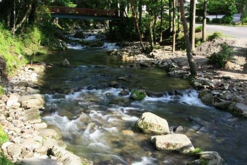 20120622_1.jpg