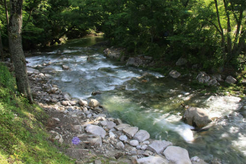 20120622_3.jpg