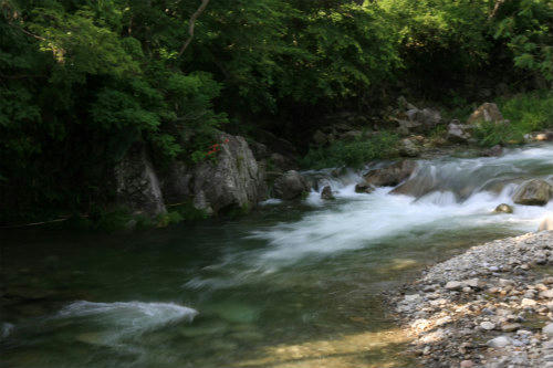 20120622_4.jpg