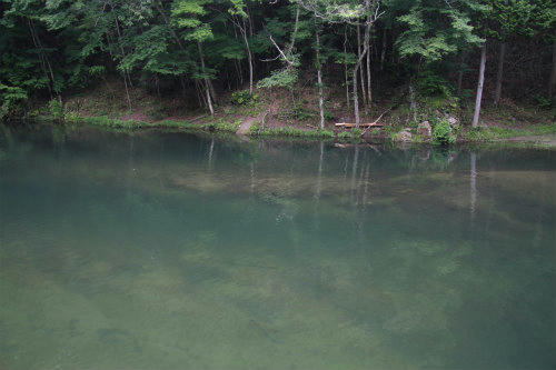 20120623_2.jpg