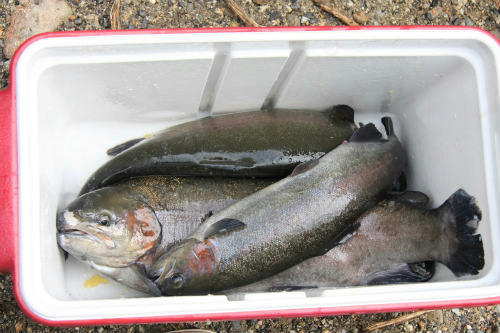 20120306_1.jpg
