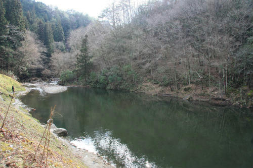 20120306_2.jpg