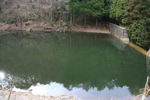 20120306_3.jpg