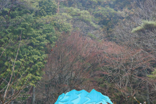 20120309_1.jpg