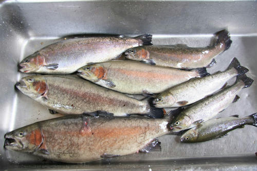20120310_1.jpg