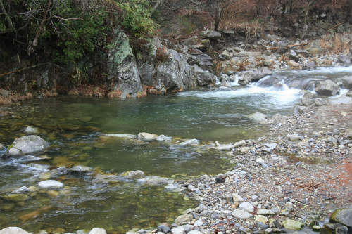 20120317.jpg