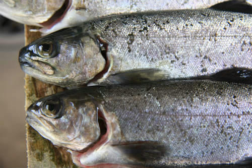 20120322_2.jpg