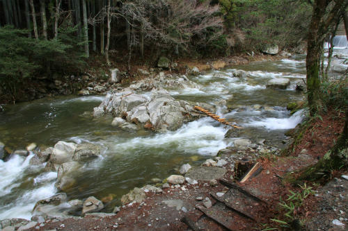 20120331_1.jpg