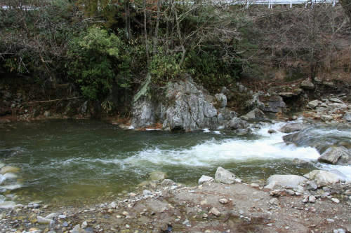 20120331_3.jpg