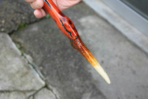 20120625_1.jpg