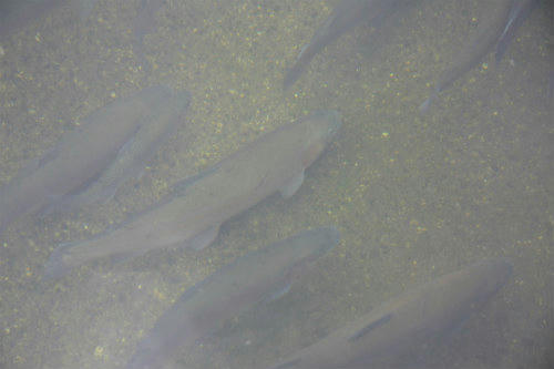 20120630_2.jpg