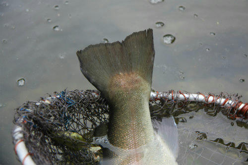 20120701_2.jpg