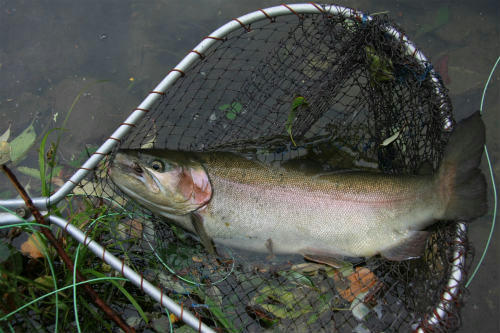 20120701_3.jpg