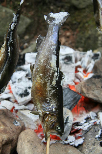 20120709.jpg