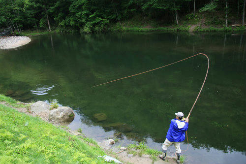 20120711_1.jpg