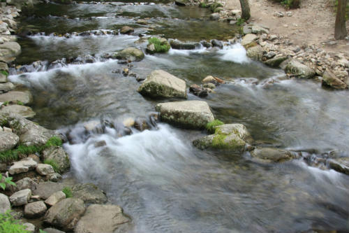 20120714_1.jpg