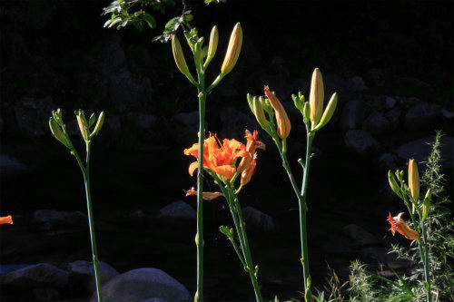 20120716.jpg