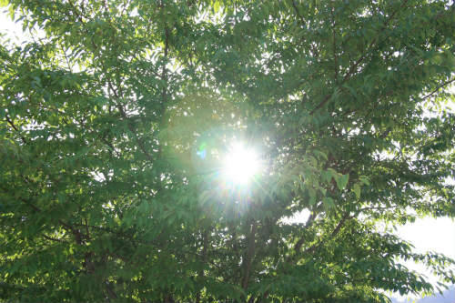 20120717.jpg